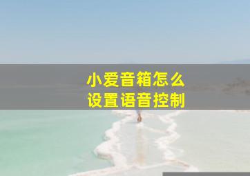 小爱音箱怎么设置语音控制