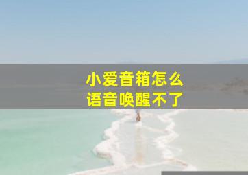 小爱音箱怎么语音唤醒不了