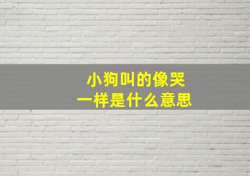 小狗叫的像哭一样是什么意思