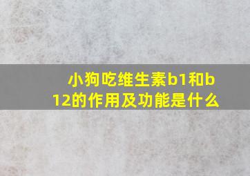 小狗吃维生素b1和b12的作用及功能是什么