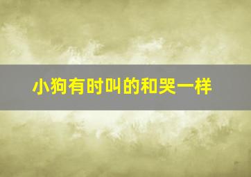 小狗有时叫的和哭一样