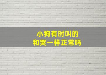 小狗有时叫的和哭一样正常吗