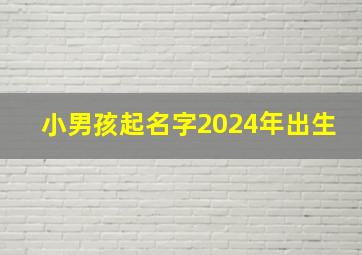 小男孩起名字2024年出生