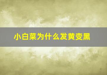 小白菜为什么发黄变黑