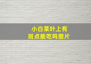 小白菜叶上有斑点能吃吗图片