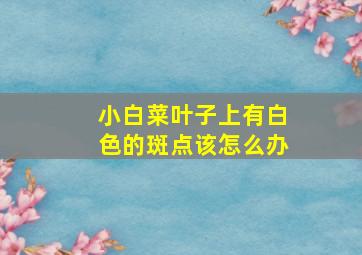 小白菜叶子上有白色的斑点该怎么办