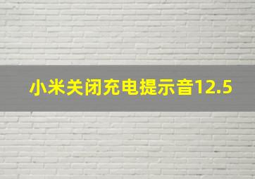 小米关闭充电提示音12.5