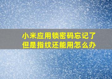 小米应用锁密码忘记了但是指纹还能用怎么办