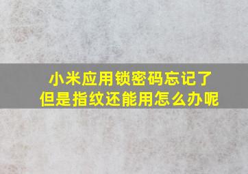 小米应用锁密码忘记了但是指纹还能用怎么办呢