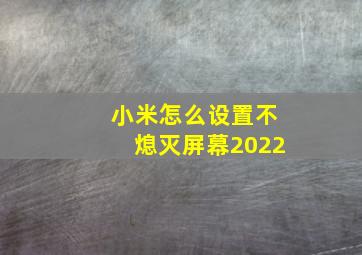 小米怎么设置不熄灭屏幕2022