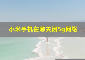 小米手机在哪关闭5g网络