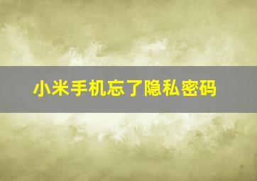 小米手机忘了隐私密码