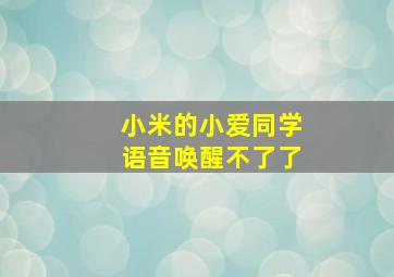 小米的小爱同学语音唤醒不了了