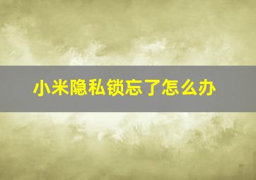 小米隐私锁忘了怎么办