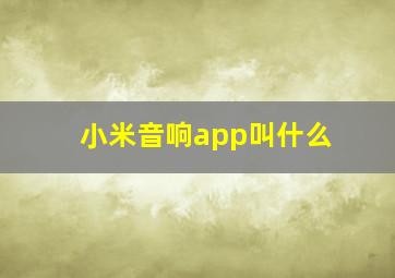 小米音响app叫什么