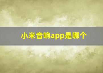 小米音响app是哪个