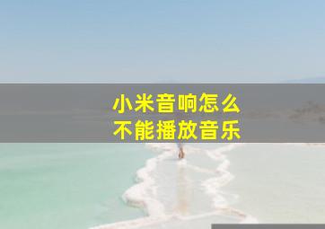 小米音响怎么不能播放音乐