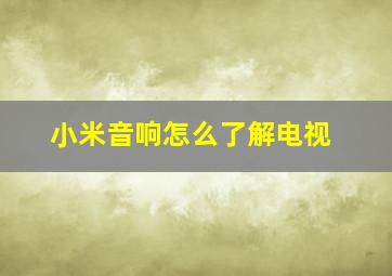 小米音响怎么了解电视