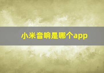 小米音响是哪个app