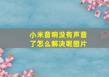 小米音响没有声音了怎么解决呢图片