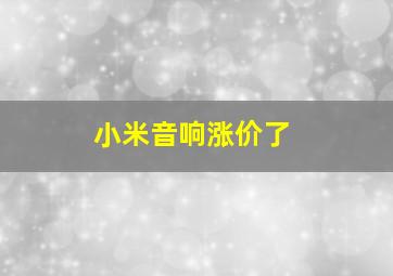 小米音响涨价了