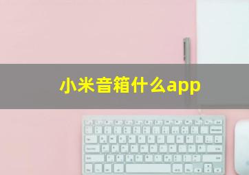 小米音箱什么app