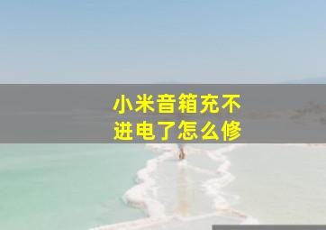 小米音箱充不进电了怎么修