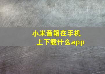 小米音箱在手机上下载什么app