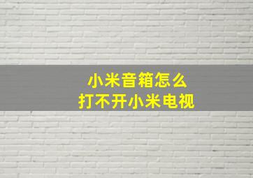 小米音箱怎么打不开小米电视