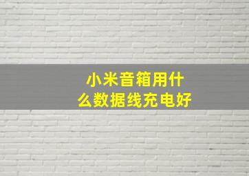 小米音箱用什么数据线充电好