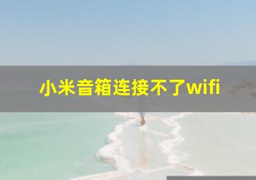 小米音箱连接不了wifi