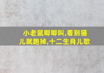 小老鼠唧唧叫,看到猫儿就跑掉,十二生肖儿歌