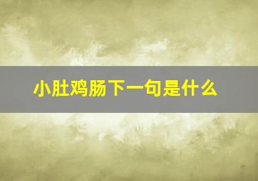 小肚鸡肠下一句是什么