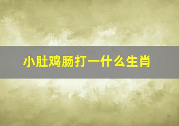 小肚鸡肠打一什么生肖