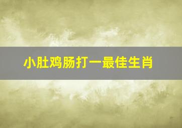 小肚鸡肠打一最佳生肖