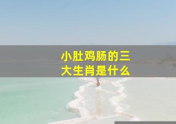 小肚鸡肠的三大生肖是什么