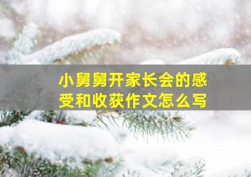 小舅舅开家长会的感受和收获作文怎么写