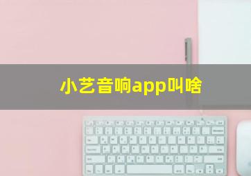 小艺音响app叫啥