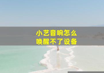 小艺音响怎么唤醒不了设备