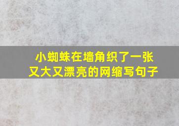 小蜘蛛在墙角织了一张又大又漂亮的网缩写句子