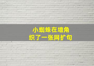 小蜘蛛在墙角织了一张网扩句