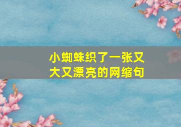 小蜘蛛织了一张又大又漂亮的网缩句