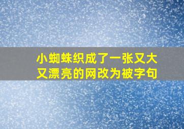 小蜘蛛织成了一张又大又漂亮的网改为被字句