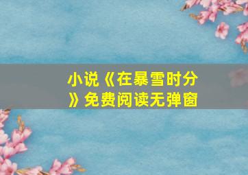 小说《在暴雪时分》免费阅读无弹窗