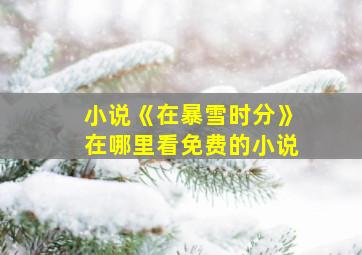 小说《在暴雪时分》在哪里看免费的小说