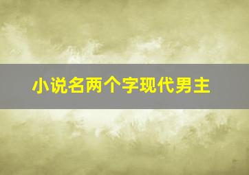 小说名两个字现代男主