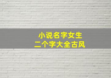 小说名字女生二个字大全古风