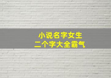 小说名字女生二个字大全霸气