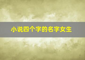 小说四个字的名字女生