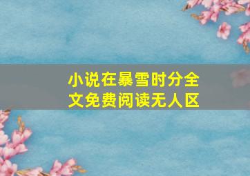 小说在暴雪时分全文免费阅读无人区